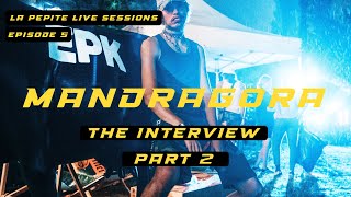 Interview of Mandragora : Creator of Future Prog - Part II