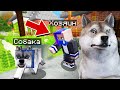 БРОДЯЧИЙ ПЕС СБЕЖАЛ ИЗ ДОМА В МАЙНКРАФТ! ЖИЗНЬ ЖИВОТНЫХ В MINECRAFT!