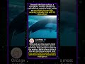 Untold Mysteries of Wild Creatures