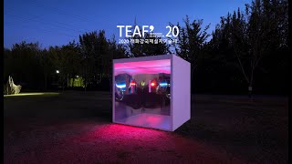 Time-lapse Javier Martin Alma- A Room Without Walls Public Installation (TEAF2020) Ulsan, Korea