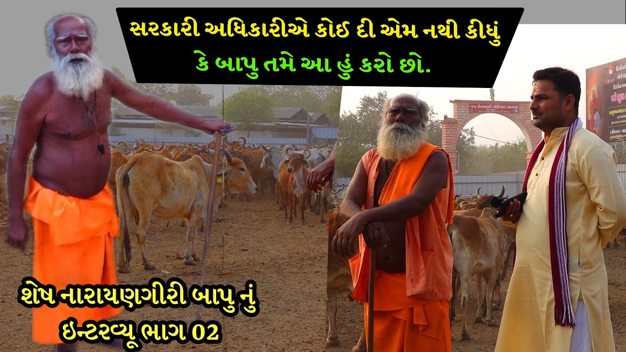 બાપુ ની ગૌશાળા ની મુલાકાત ।। સરકારી અધિકારીએ કોઈ દી એમ નથી કીધું કે બાપુ તમે આ શું કરો છો ?