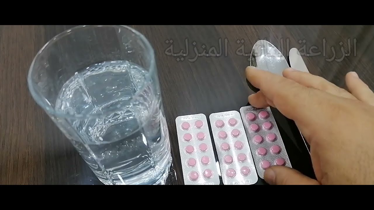 تطبيق رش وسقي بمادة الأسبرين (حامض الصفصفين) او حمض السالساليك لرفع مناعة النبات ومقاومتها للأمراض .