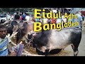 Walking tour bd cow bazaar 2023