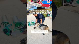 Sheldon fire department saves dogs from house fire