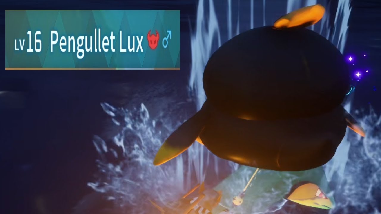 How I got a Pengullet Lux which is like a regular pengullet but a little more shocking penguin