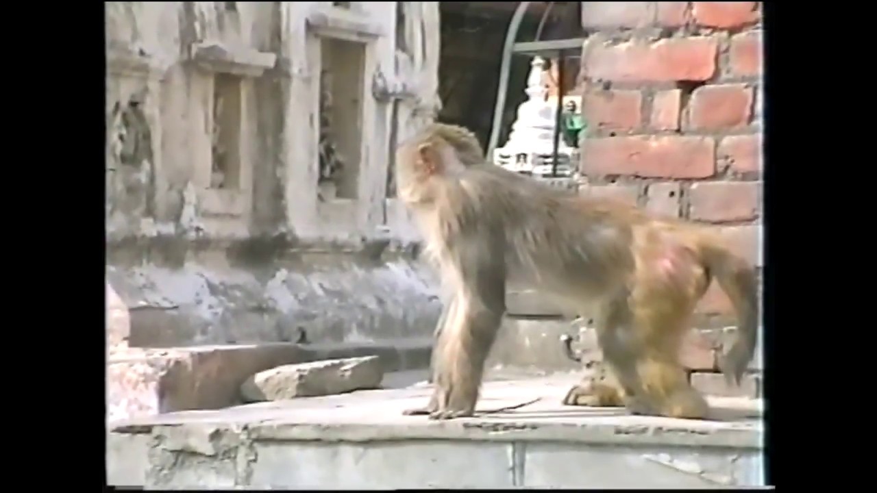 Kathmandu, Nepal 1994