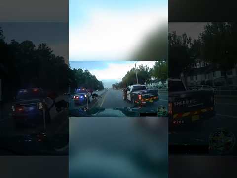 Florida Man Steals Box Truck and Leads Police on Wild Chase...  #police #bodycam #policechase