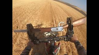 Caçada de Javali - Leitão deitou no 44 screenshot 3