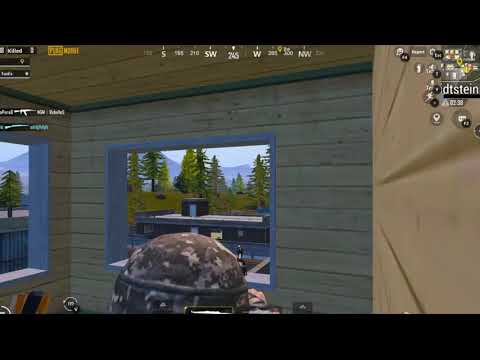 PINGVINEBI • პინგვინები-ის პირდაპირი სტრიმინგი