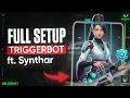 This Valorant Triggerbot Doesn't Get You Banned (FULL SETUP INSANE)