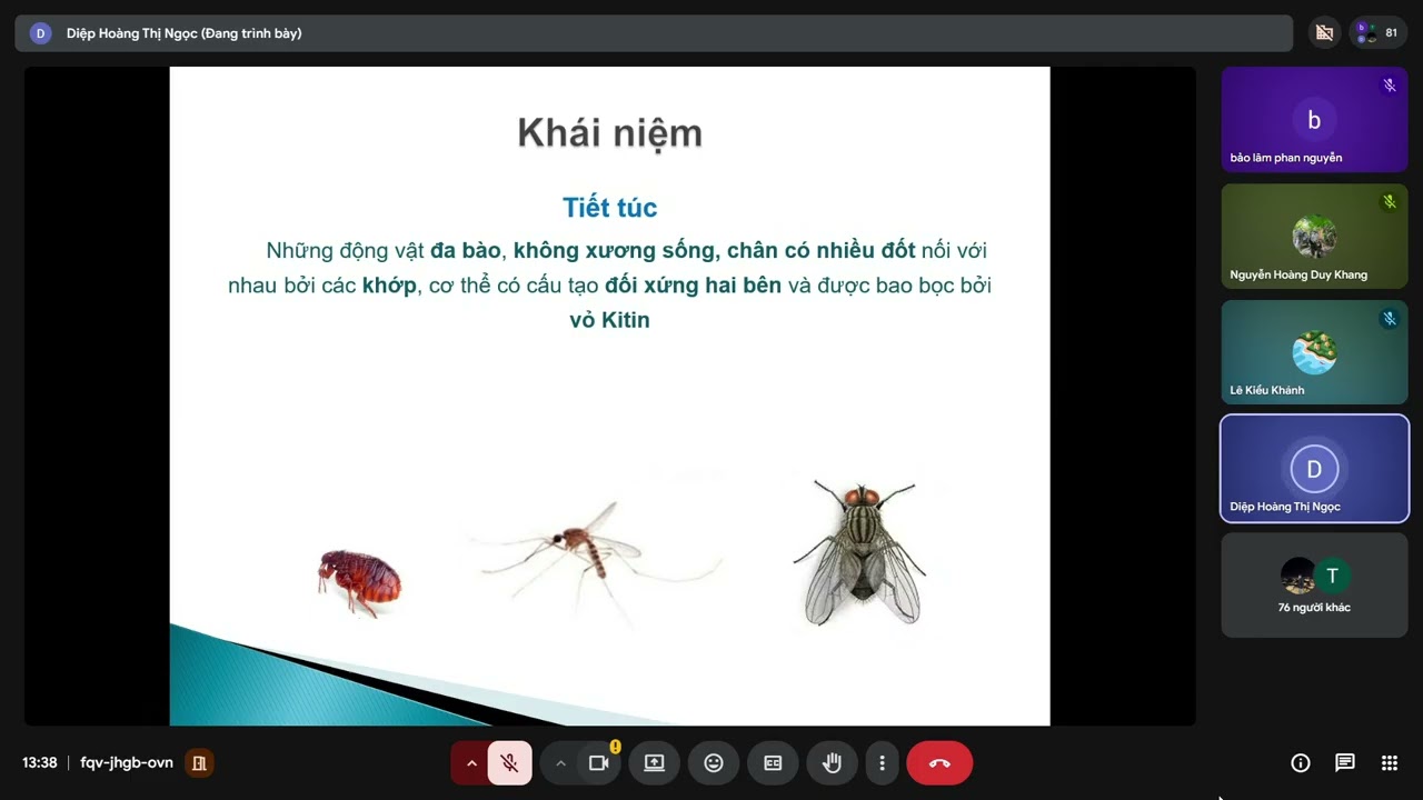 KST - tiết túc (trc giờ ra chơi p1)