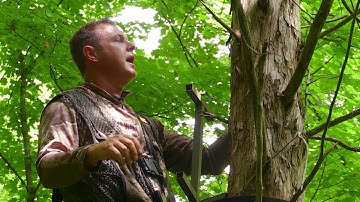 How to Setup a Lock-On Stand Safely