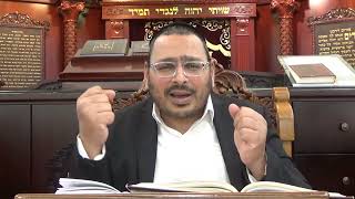 הרב יונתן אמדדי- פרשת בלק