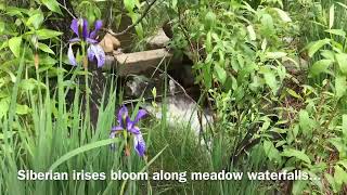 B&B Lodging Estes Park B&B Lodging Estes Park