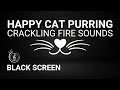 🐱🔥 Happy Cat Purring &amp; Crackling Fire Sounds | Sleep, Relax, Study &amp; ASMR