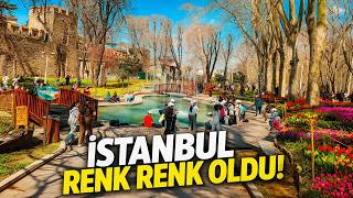 İstanbul’da Bahar Başladı - Gülhane Parkı Lale Festivali 2026 🌷