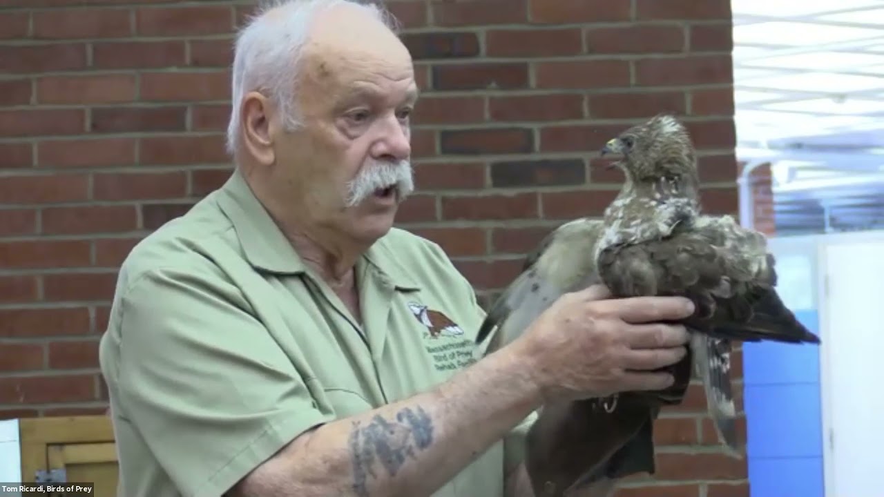 FalConference Panel 3: "Birds of Prey Program"