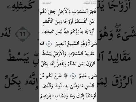 ليس كمثله شيء وهو السميع البصير