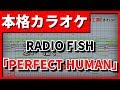 【フル歌詞付カラオケ】PERFECT HUMAN(RADIO FISH)(オリエンタルラジオ)【野田工房cover】