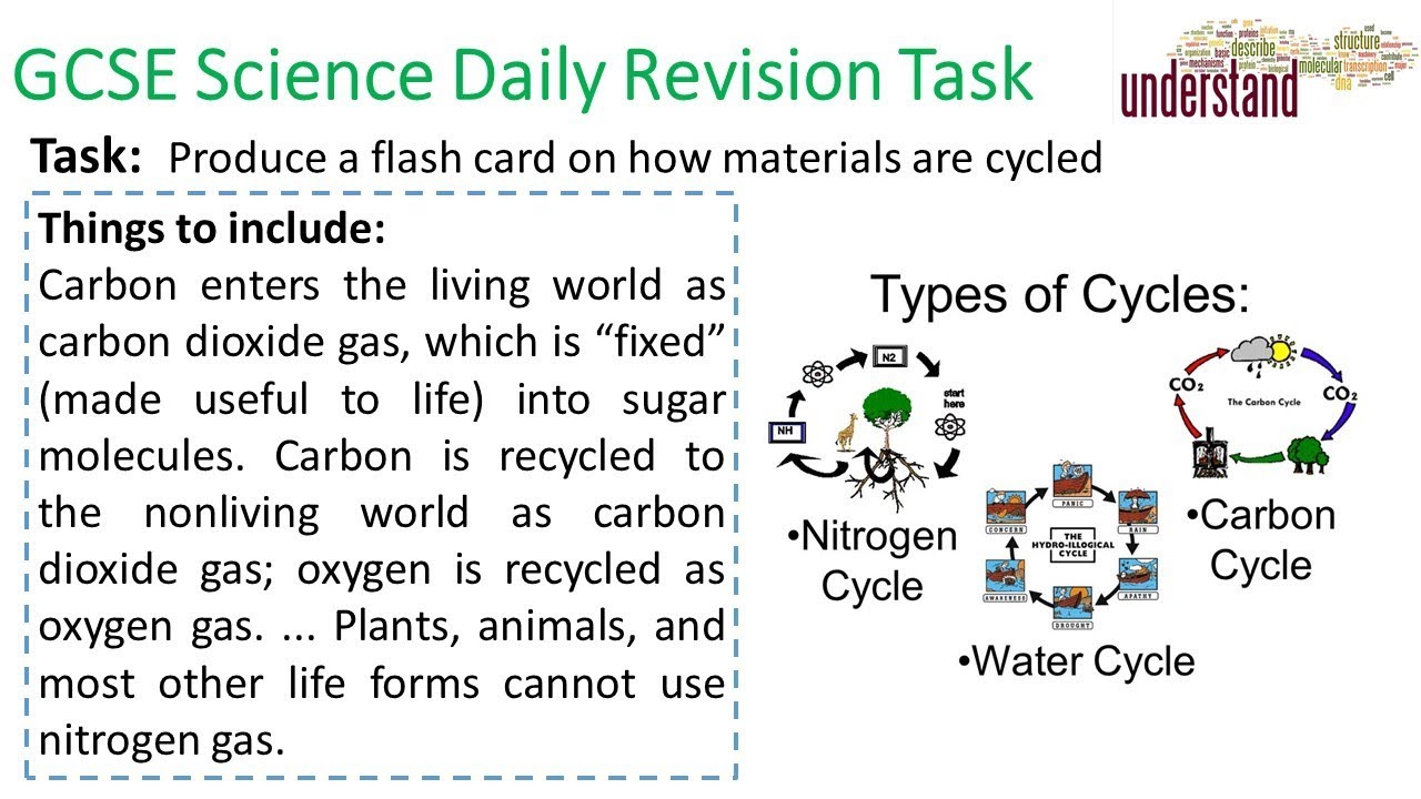 GCSE Science Daily Revision Task 195 - YouTube