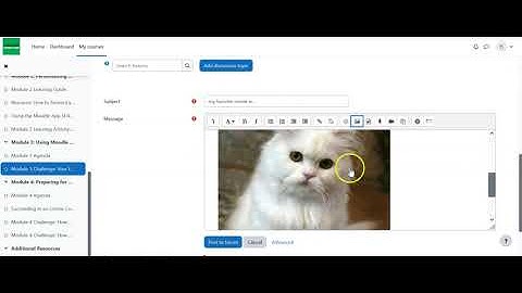 How to Use the Forum in Moodle 4.0 for Students