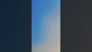 DJI Mini 3 Drone Up Tending