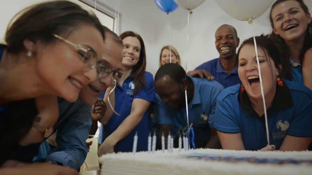 Global Paws - Relocating & Transporting Pets all over the world and Celebrating 30th Anniversary