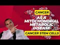 Exploring Cancer Stem Cells: Part 1