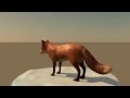 Fox Model