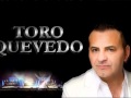 EL TORO QUEVEDO Ya Ves , Ya Ves