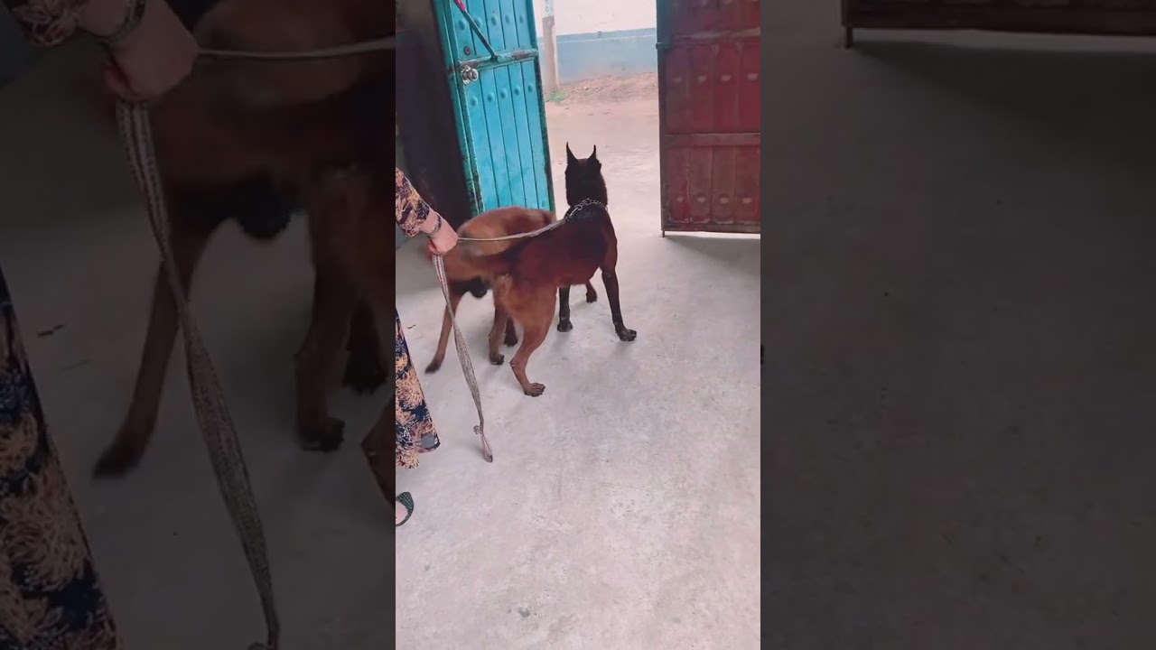 Continuing training for the future@@ 23