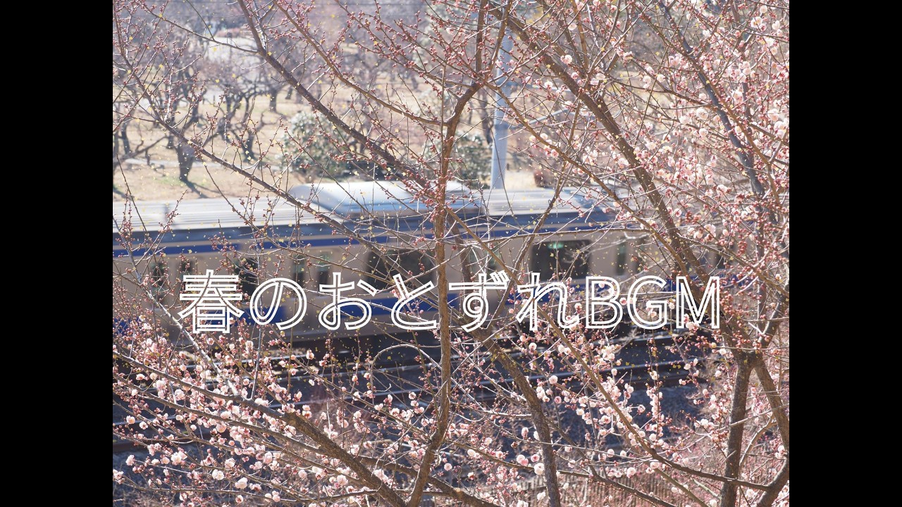 Spring Arrival 🌸 春のおとずれBGM | Uplifting Ambient Music (30 min)