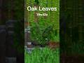 Minecraft Leaves Texture Evolution #shorts