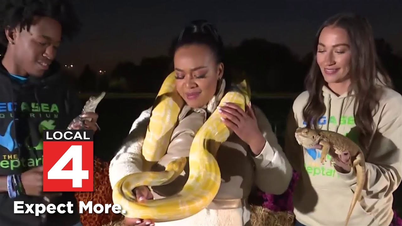 macomb-county-harvest-festival-takes-place-this-weekend-youtube