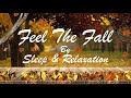 Relaxing Fall Sounds, Soothing Ambient Music Alongside Autumn Leaves | Sleep and Relaxation |