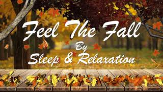 Relaxing Fall Sounds, Soothing Ambient Music Alongside Autumn Leaves | Sleep and Relaxation | by Sleep & Relaxation 12,916 views 1 year ago 5 minutes, 44 seconds