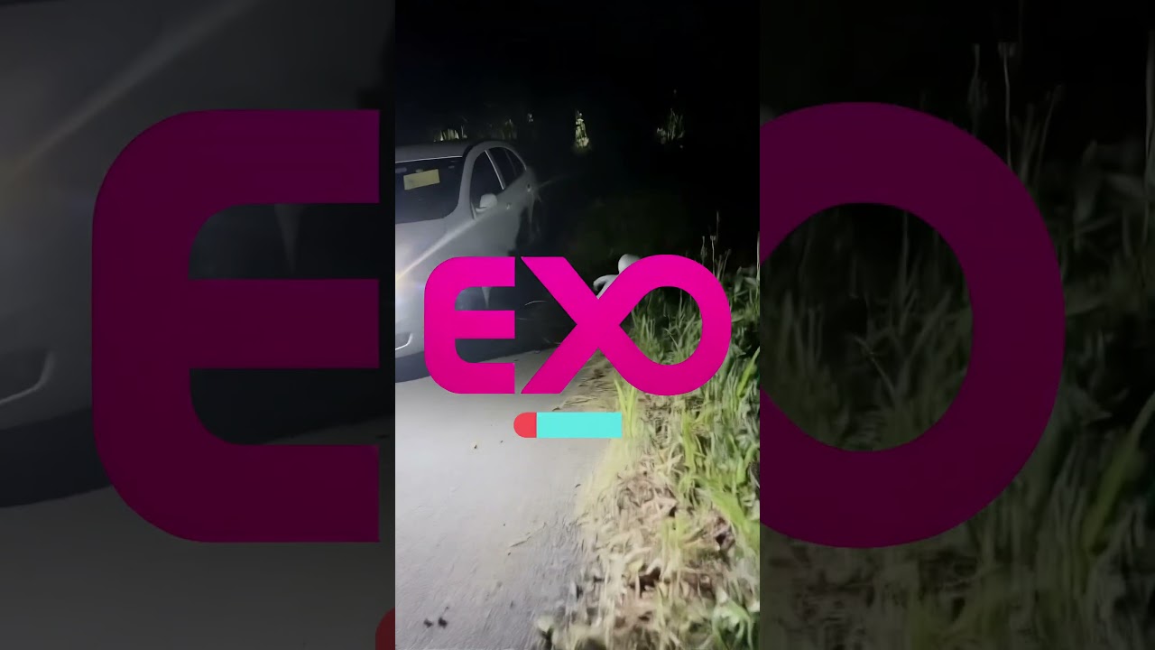 Unbelievable Tiny Alien Caught on Camera!!!