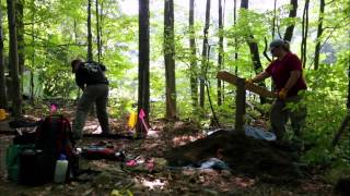 Search for the Lost Giants