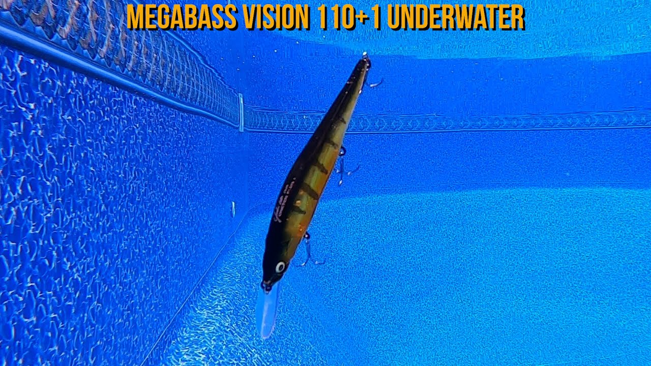 Megabass Vision 110+1 Underwater 