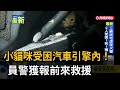 小貓咪受困汽車引擎內！  員警獲報前來救援－民視新聞