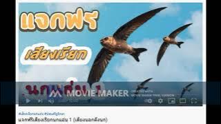 Suara Walet Thailand No 1