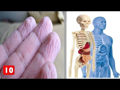 Βίντεο: Τι είναι να καλύπτει ένα σώμα;