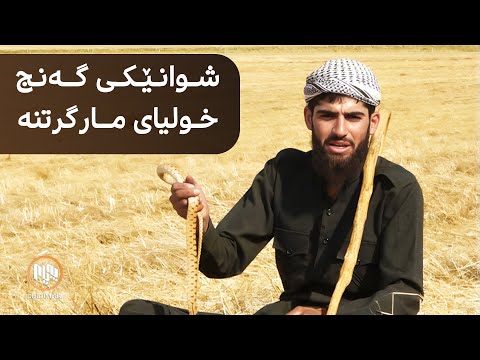 سەیدسادق شوانێکی گەنج لە گوندی تووتاخاج خولیای مارگرتنە