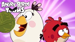 Angry Birds Toons Season 3 | Ep. 11 to 15