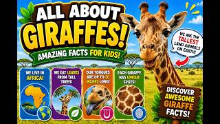 The Fascinating World of Giraffes