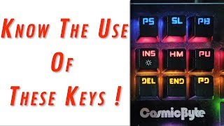 Know the Use of Print Screen, Scroll Lock, Pause Break, Ins, Del, Home, End, Page Up & Down Keys