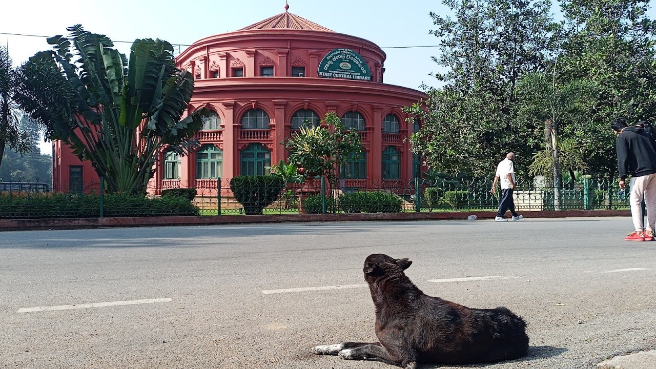 Pets and stray dogs in Cubbon Park, Bengaluru