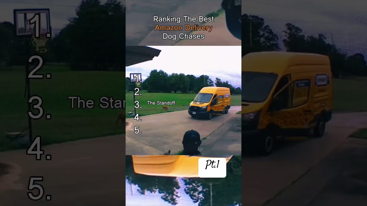 Amazon Delivery Drivers Get Attacked Dogs 📦😭