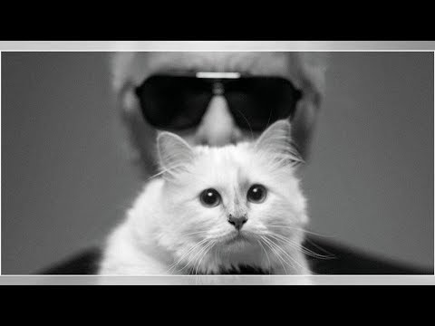 Video: Karl Lagerfeld Convirtió A Shupett En Su Heredera