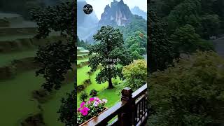 ☔ Cozy Rainy Balcony in the Mountains | Relaxing ASMR Rain Sounds #Shorts
